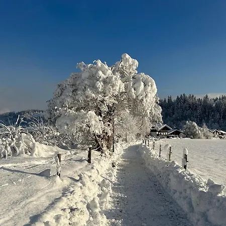 Pon-apart Apartament *