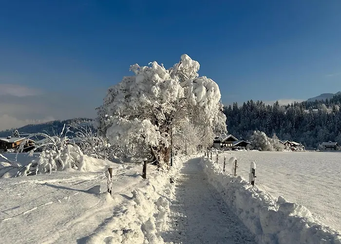 Pon-apart Apartament *