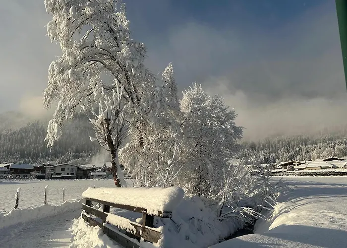 Apartament Pon-apart *